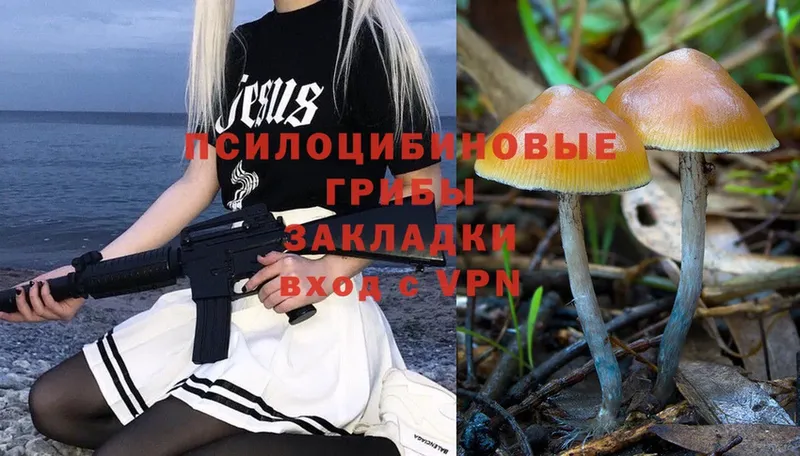 kraken маркетплейс  Нерчинск  Галлюциногенные грибы Psilocybe 